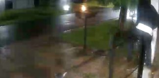 Saltó la reja de una casa de La Plata, robó las tarjetas que la víctima tenía en el auto y las usó en un local cercano