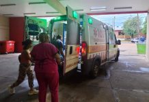 Salvaje ataque en Misiones: siete perros mordieron a un niño dentro de su casa y terminó con múltiples heridas