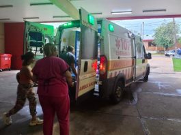 Salvaje ataque en Misiones: siete perros mordieron a un niño dentro de su casa y terminó con múltiples heridas