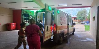 Salvaje ataque en Misiones: siete perros mordieron a un niño dentro de su casa y terminó con múltiples heridas