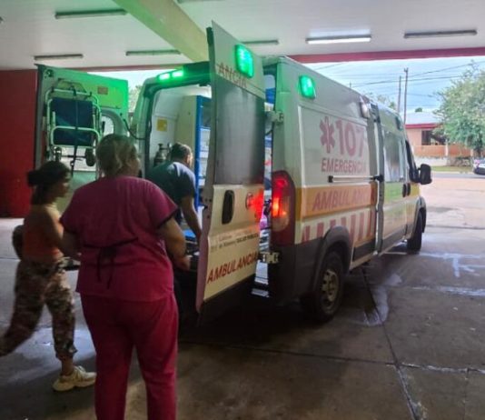 Salvaje ataque en Misiones: siete perros mordieron a un niño dentro de su casa y terminó con múltiples heridas