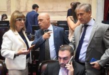 Senado: dialoguistas reclaman un guiño del Gobierno para incorporar leyes propias a la agenda legislativa