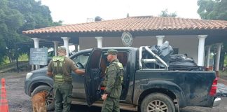Traficaban más de 10 kilos de marihuana ocultos en un rueda de una camioneta y fueron capturados en Formosa
