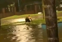 Un nene de 12 años murió electrocutado durante el temporal que azotó Tucumán