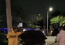 Un zorrino se escondió dentro de un auto en Córdoba y hubo un operativo para liberarlo sin lastimarlo