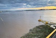 Una invasión de camalotes bloqueó la planta potabilizadora de Rosario y dejó a la región sin agua durante varias horas