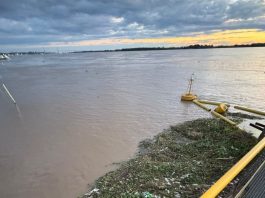 Una invasión de camalotes bloqueó la planta potabilizadora de Rosario y dejó a la región sin agua durante varias horas