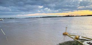 Una invasión de camalotes bloqueó la planta potabilizadora de Rosario y dejó a la región sin agua durante varias horas