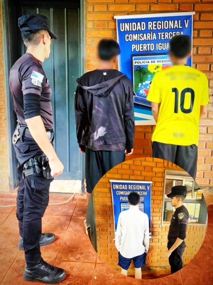 Una mujer trans fue asesinada a golpes en Misiones y la Policía detuvo a tres jóvenes