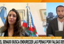 Unión por la Patria rechazó el proyecto de Losada para sancionar las falsas denuncias por violencia de género