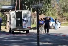 Alerta en Bernal: vecinos denuncian que dos pitbulls sueltos atacan mascotas y personas en el medio de la calle