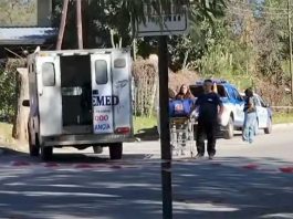 Alerta en Bernal: vecinos denuncian que dos pitbulls sueltos atacan mascotas y personas en el medio de la calle