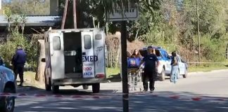 Alerta en Bernal: vecinos denuncian que dos pitbulls sueltos atacan mascotas y personas en el medio de la calle