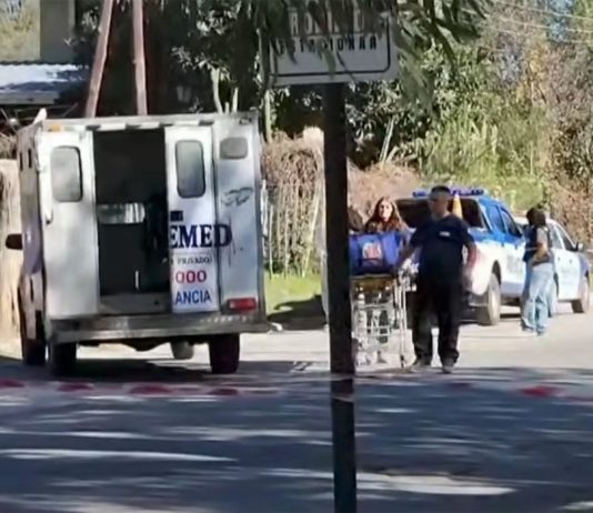 Alerta en Bernal: vecinos denuncian que dos pitbulls sueltos atacan mascotas y personas en el medio de la calle