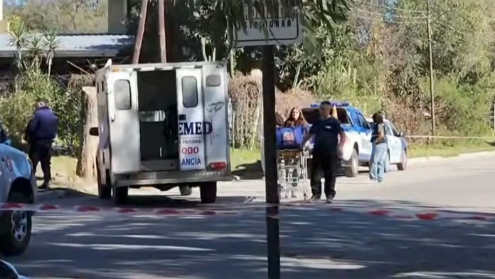 Alerta en Bernal: vecinos denuncian que dos pitbulls sueltos atacan mascotas y personas en el medio de la calle