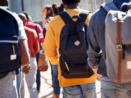 Becas Progresar: qué pasó con la cifra de beneficiarios y su presupuesto en la gestión de Milei