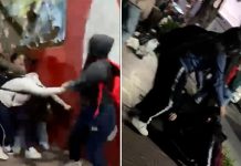 Brutal ataque en patota a una adolescente en Villa Ballester: la arrastraron de los pelos por la vereda y le patearon la cabeza