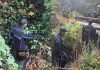 Cómo sigue la búsqueda de Analía Corte: fue vista por una cámara de seguridad y ampliaron la zona del rastrillaje