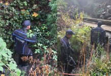 Cómo sigue la búsqueda de Analía Corte: fue vista por una cámara de seguridad y ampliaron la zona del rastrillaje