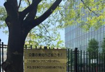 Cómo Tokio logró una limpieza urbana casi perfecta y qué exige a sus habitantes