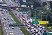 Corte total en Panamericana: un camión chocó contra un puente y volcó un container