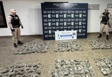 Decomisaron más de 91 kilos de marihuana valuados en 339 millones de pesos y detuvieron a cuatro personas en Corrientes