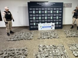 Decomisaron más de 91 kilos de marihuana valuados en 339 millones de pesos y detuvieron a cuatro personas en Corrientes