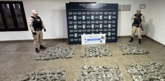 Decomisaron más de 91 kilos de marihuana valuados en 339 millones de pesos y detuvieron a cuatro personas en Corrientes