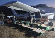 Descubrieron una avioneta narco en Santa Fe: incautaron 442 kilos de cocaína y hay ocho detenidos