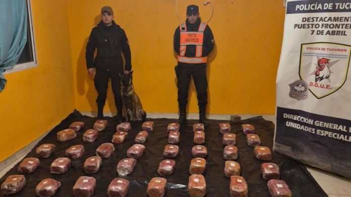 Dos mujeres se enviaron una encomienda de Salta a Tucumán con 48 kilos de marihuana y las detuvieron
