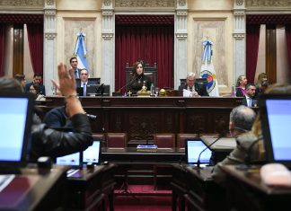 El Senado prorrogó el programa nacional de entrega de armas voluntaria hasta diciembre de 2027