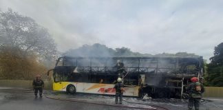 Impactante incendio en la autopista 25 de mayo: un micro se prendió fuego a la altura de Parque Chacabuco