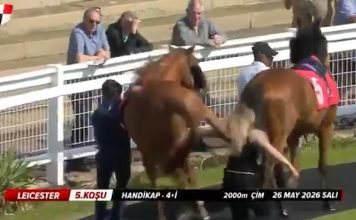 La espeluznante patada de un caballo a una mujer antes de una carrera en un hipódromo: “Accidente desafortunado”