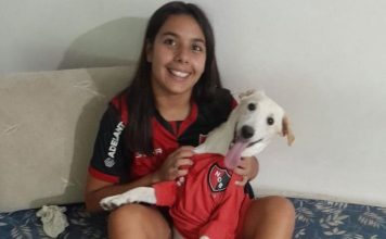 La odisea de Coco, el perro que invadió la cancha en Central-Tigre y es hincha de Newell’s