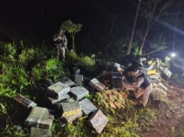 Operativo de película en el Paraná: intentaron ingresar más de tres toneladas de marihuana en lancha y huyeron a pie