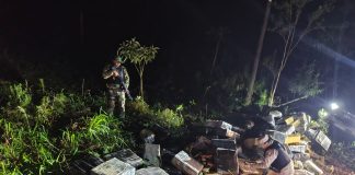 Operativo de película en el Paraná: intentaron ingresar más de tres toneladas de marihuana en lancha y huyeron a pie