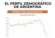Por qué cae la natalidad en Argentina y el mundo: Martín Lousteau analizó causas y consecuencias