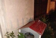 Protagonizó una persecución desde Devoto hasta La Tablada y lo atraparon cuando se escondía en la cucha de un perro
