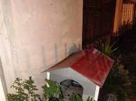 Protagonizó una persecución desde Devoto hasta La Tablada y lo atraparon cuando se escondía en la cucha de un perro