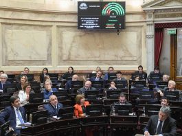 Reforma política: tras un guiño en el recinto los senadores aliados forzarán un debate separado de Ficha Limpia
