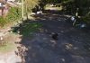 Rescataron a una mujer de un violento ataque por parte de su pareja en La Plata