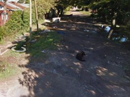 Rescataron a una mujer de un violento ataque por parte de su pareja en La Plata
