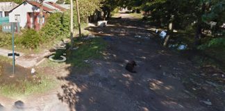 Rescataron a una mujer de un violento ataque por parte de su pareja en La Plata