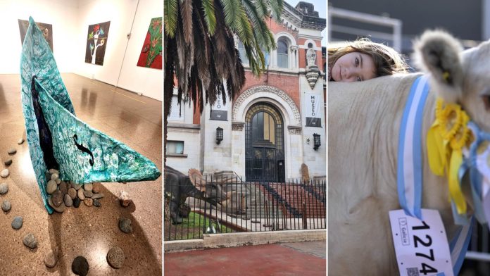 Tres ideas de paseos urbanos que los silvers pueden proponer a sus nietos