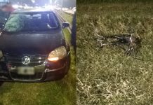 Un niño de 9 años perdió la vida en la Panamericana tras ser embestido por un auto y detuvieron al conductor