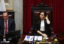 Victoria Villarruel volvió a diferenciarse del Gobierno y cuestionó la compra de un avión