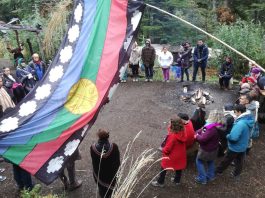 Villa La Angostura: polémica por una obra municipal que atraviesa lotes privados para beneficiar a una comunidad mapuche