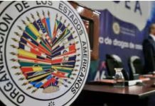 A través de una iniciativa propuesta por Argentina, la OEA designó el 27 enero como “Día Internacional en Memoria de las víctimas del Holocausto”