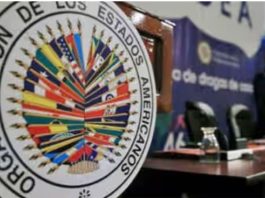 A través de una iniciativa propuesta por Argentina, la OEA designó el 27 enero como “Día Internacional en Memoria de las víctimas del Holocausto”