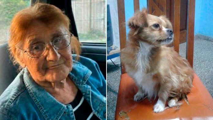 Buscan a una mujer de 79 años en Berazategui que salió a caminar con su perra y no volvió